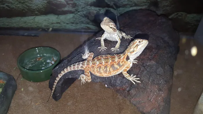 Petco Picture 9
