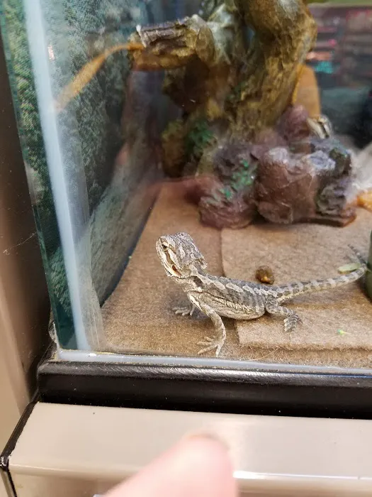 Petco Picture 3