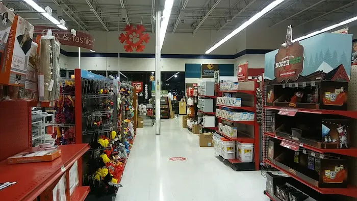 Petco Picture 4