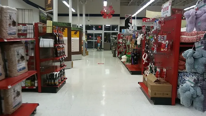 Petco Picture 5