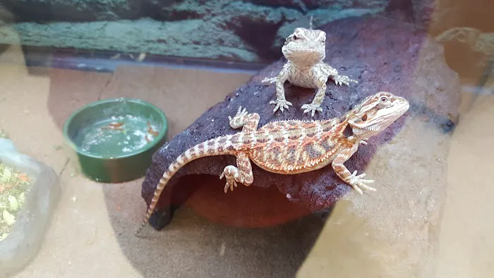 Petco Picture 7