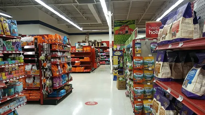 Petco Picture 6