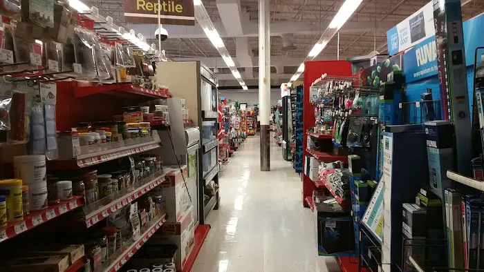 Petco Picture 1