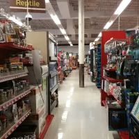 Petco ico