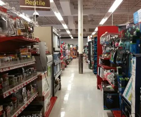 Petco