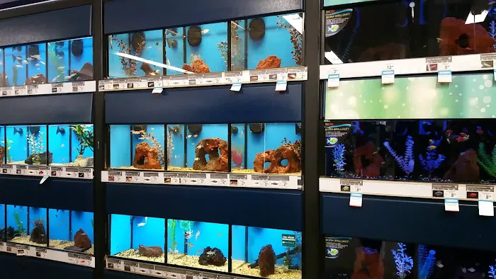 Petco Picture 4