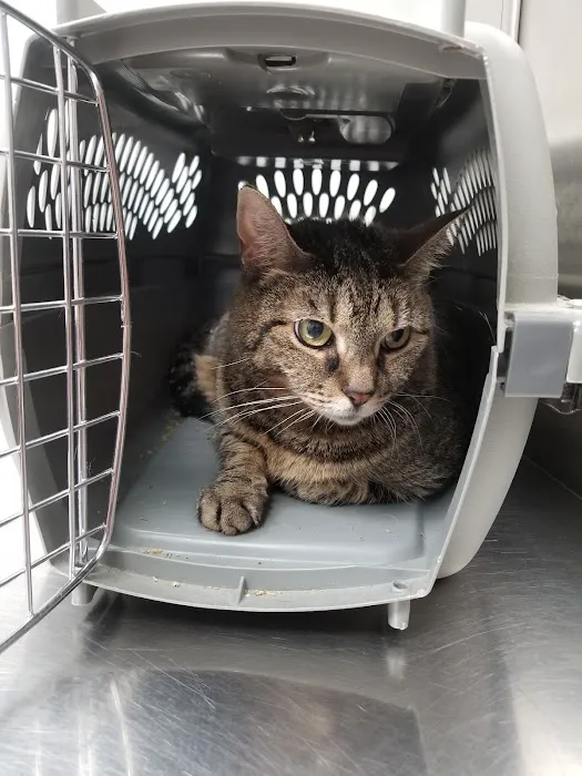 North Haven Animal Hospital Picture 8