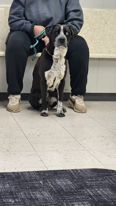North Haven Animal Hospital Picture 3
