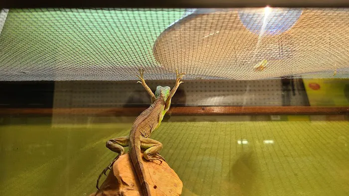 J & F Aquatics Exotics Picture 6