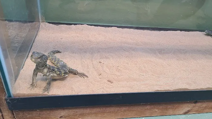 J & F Aquatics Exotics Picture 8