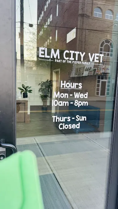 Elm City Vet Picture 10