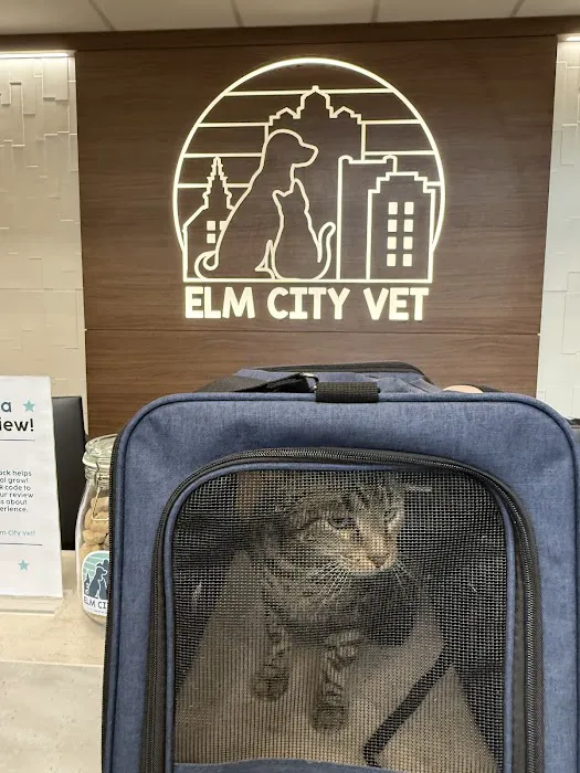 Elm City Vet Picture 4