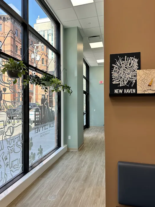 Elm City Vet Picture 8