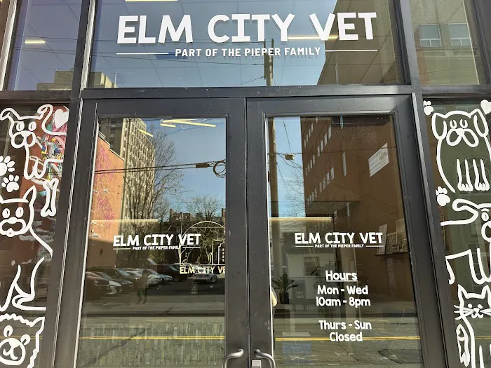 Elm City Vet Picture 6