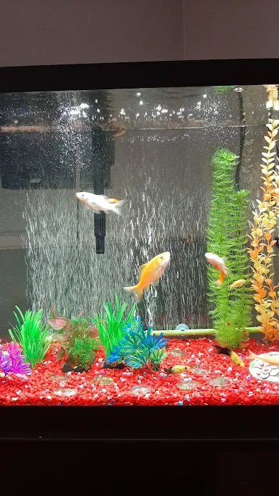 Petco Picture 9