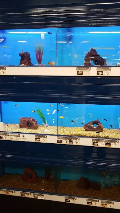 Petco Picture 1
