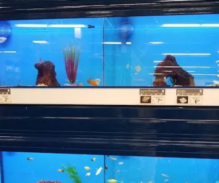 Petco