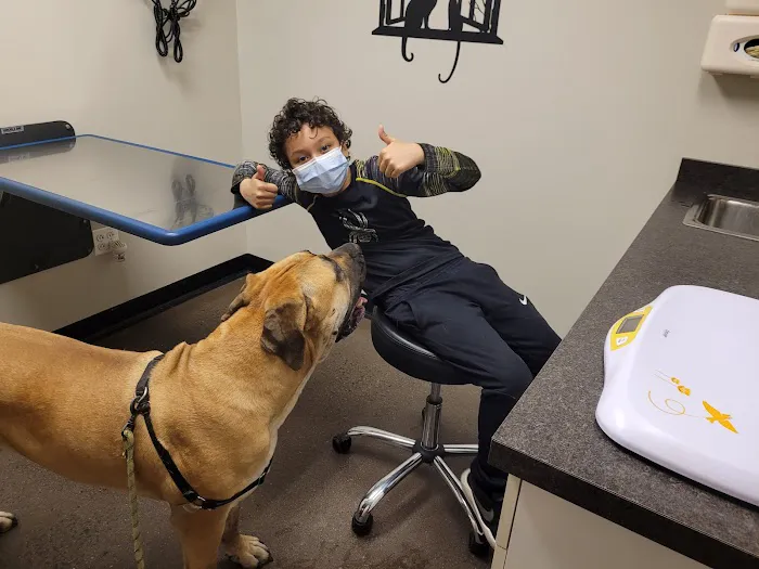 Veterinary Wellness Center of New Haven Picture 5