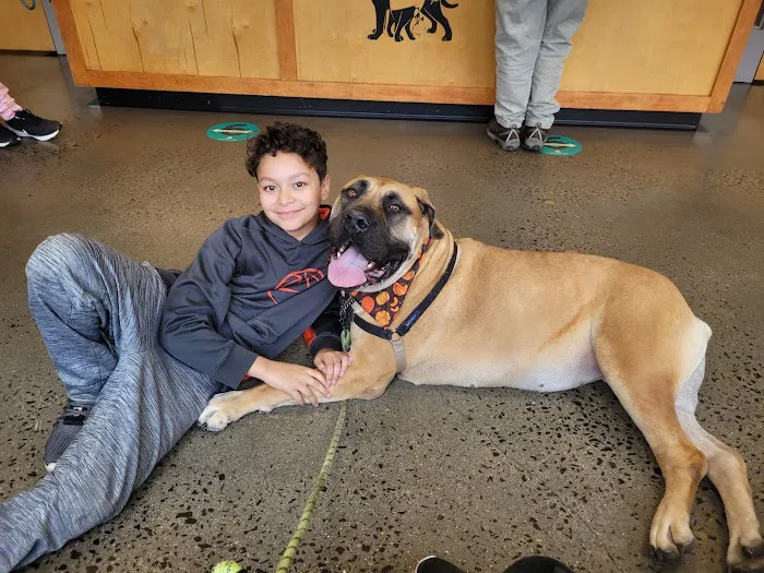 Veterinary Wellness Center of New Haven Picture 4
