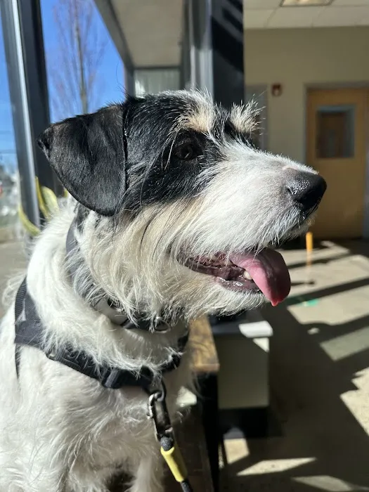 Veterinary Wellness Center of New Haven Picture 8