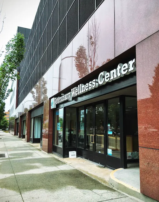 Veterinary Wellness Center of New Haven Picture 7