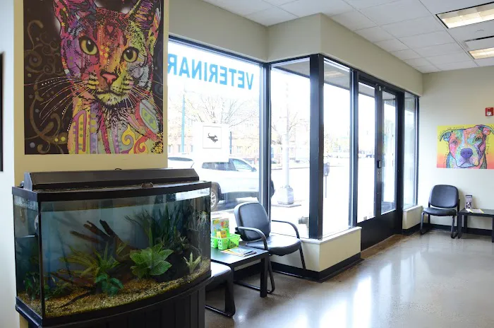 Veterinary Wellness Center of New Haven Picture 3