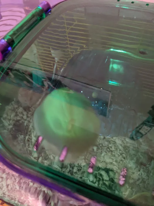 Coral Reef Pet Shop Picture 7