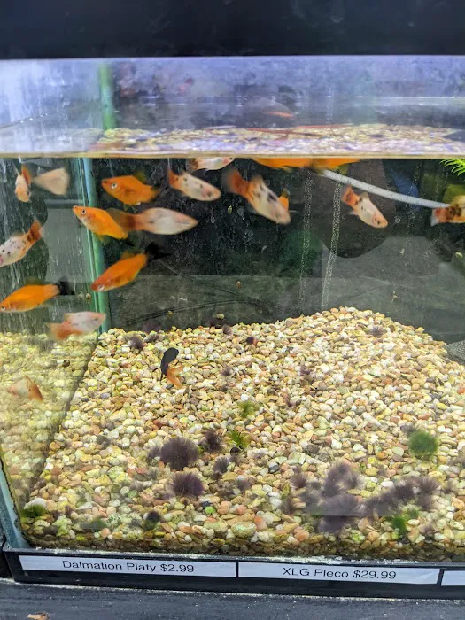 Coral Reef Pet Shop Picture 8