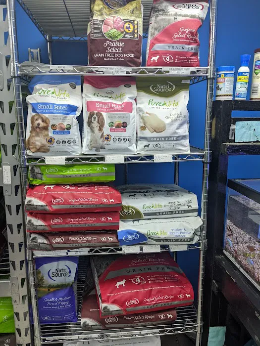 Coral Reef Pet Shop Picture 6