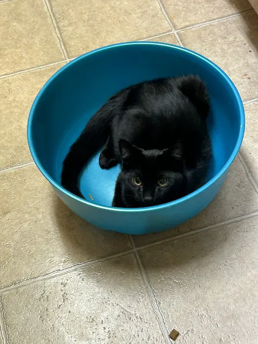 West Haven Animal Clinic Picture 8