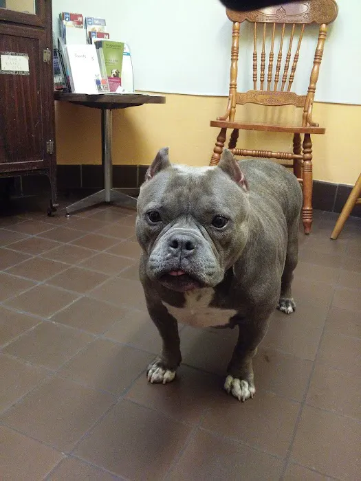 West Haven Animal Clinic Picture 6