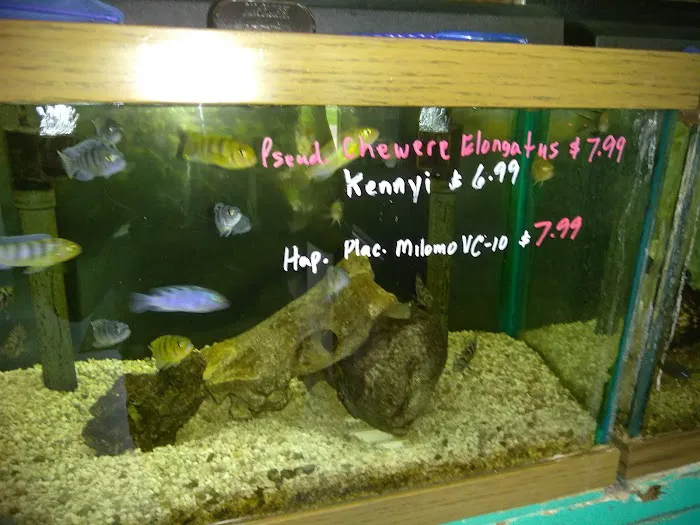 Causeway Pets Picture 3