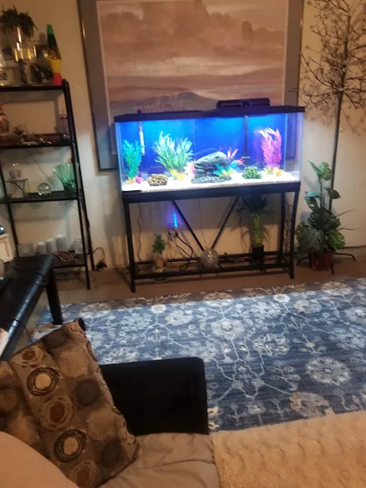 Causeway Pets Picture 8