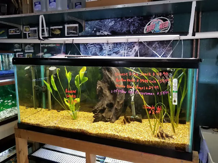 Causeway Pets Picture 6