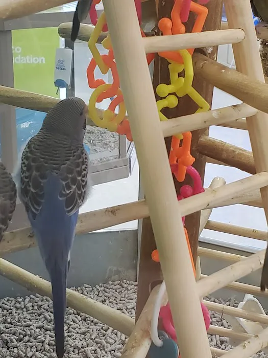 Petco Picture 8