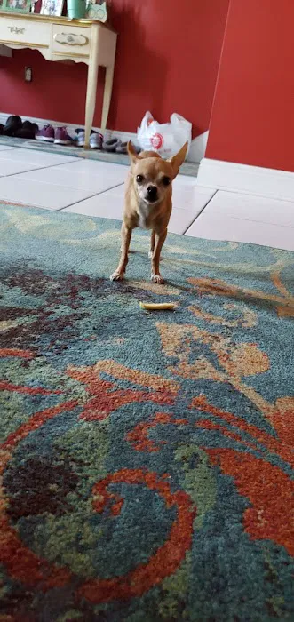 Petco Picture 2