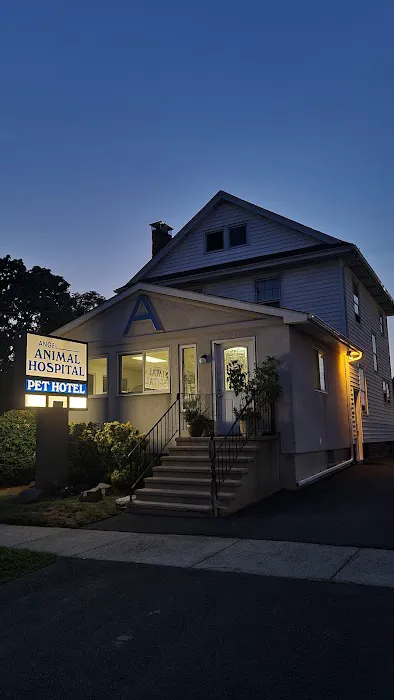 Angel Animal Hospital Picture 1