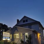 Angel Animal Hospital