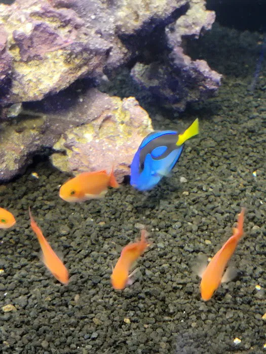 Reef Consortium Picture 8