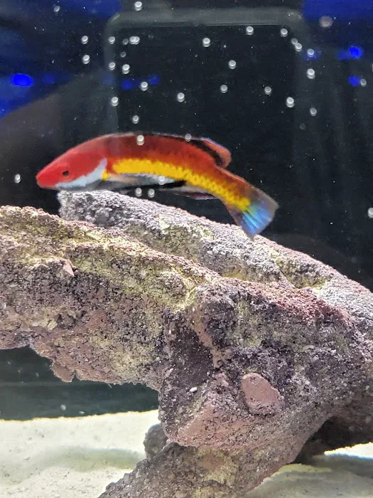 Reef Consortium Picture 9