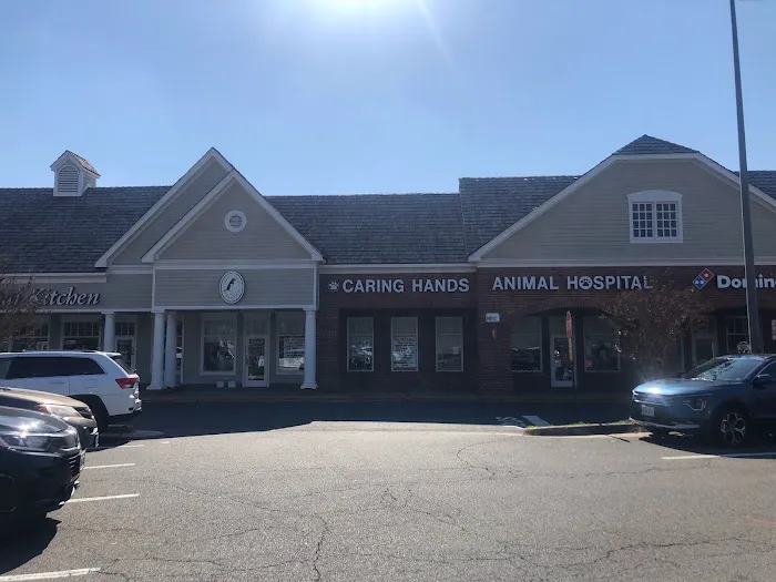 Caring Hands Animal Hospital - Centreville Picture 2
