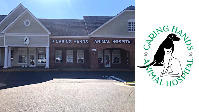 Caring Hands Animal Hospital - Centreville Picture 4