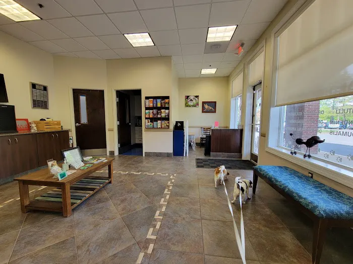 Caring Hands Animal Hospital - Centreville Picture 5