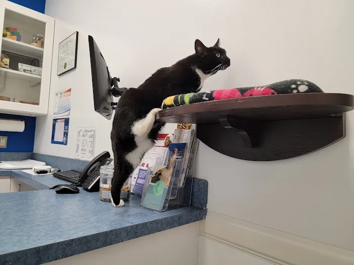 Caring Hands Animal Hospital - Centreville Picture 1