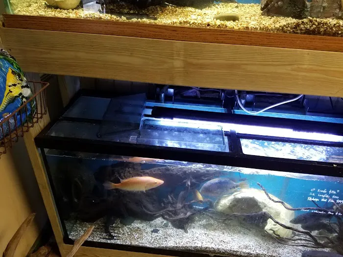 50 Fathoms Pet Shop Picture 2