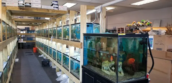 50 Fathoms Pet Shop Picture 5