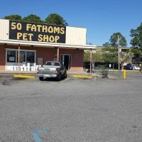 50 Fathoms Pet Shop ico