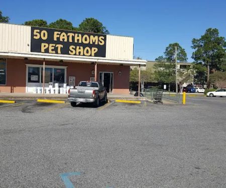 50 Fathoms Pet Shop