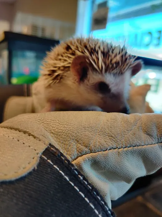 50 Fathoms Pet Shop Picture 3