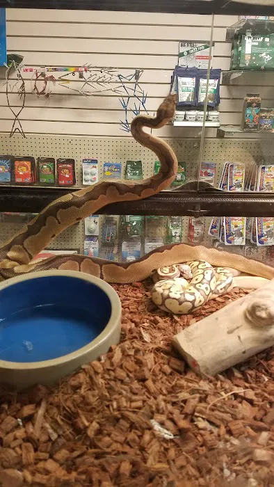 50 Fathoms Pet Shop Picture 4